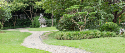 我是小小药膳师